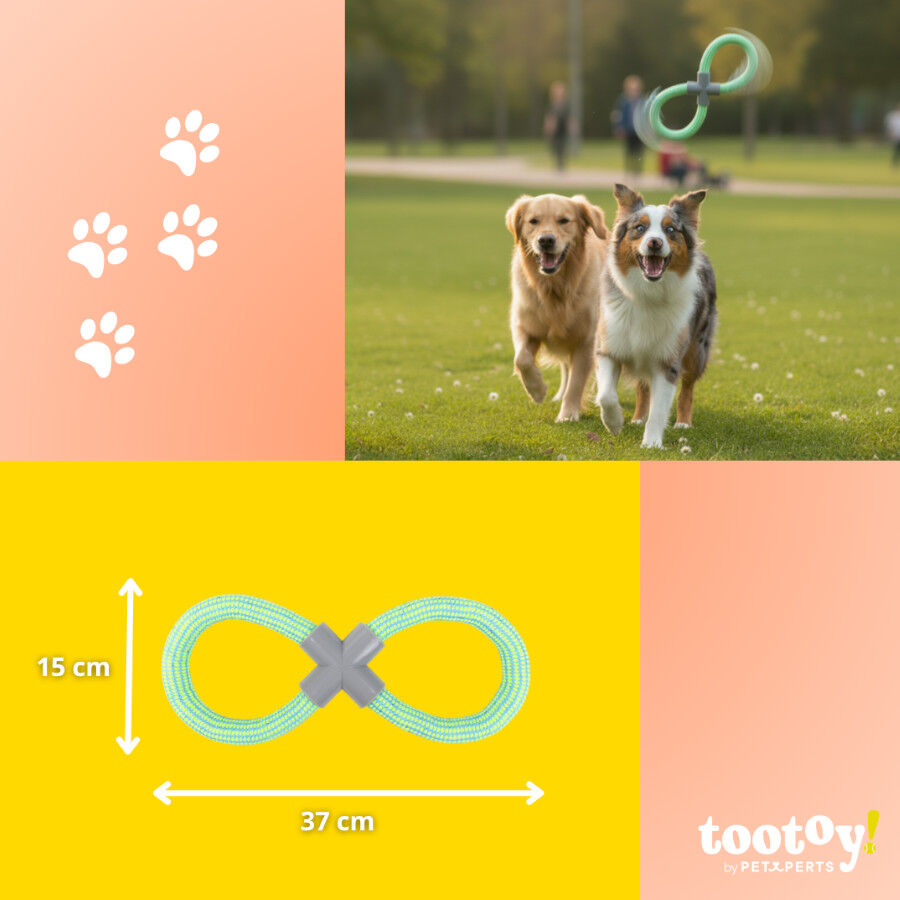 Tootoy! Mordedor de Cuerda Doble Azul y Verde para perro, , large Imagen numero 5