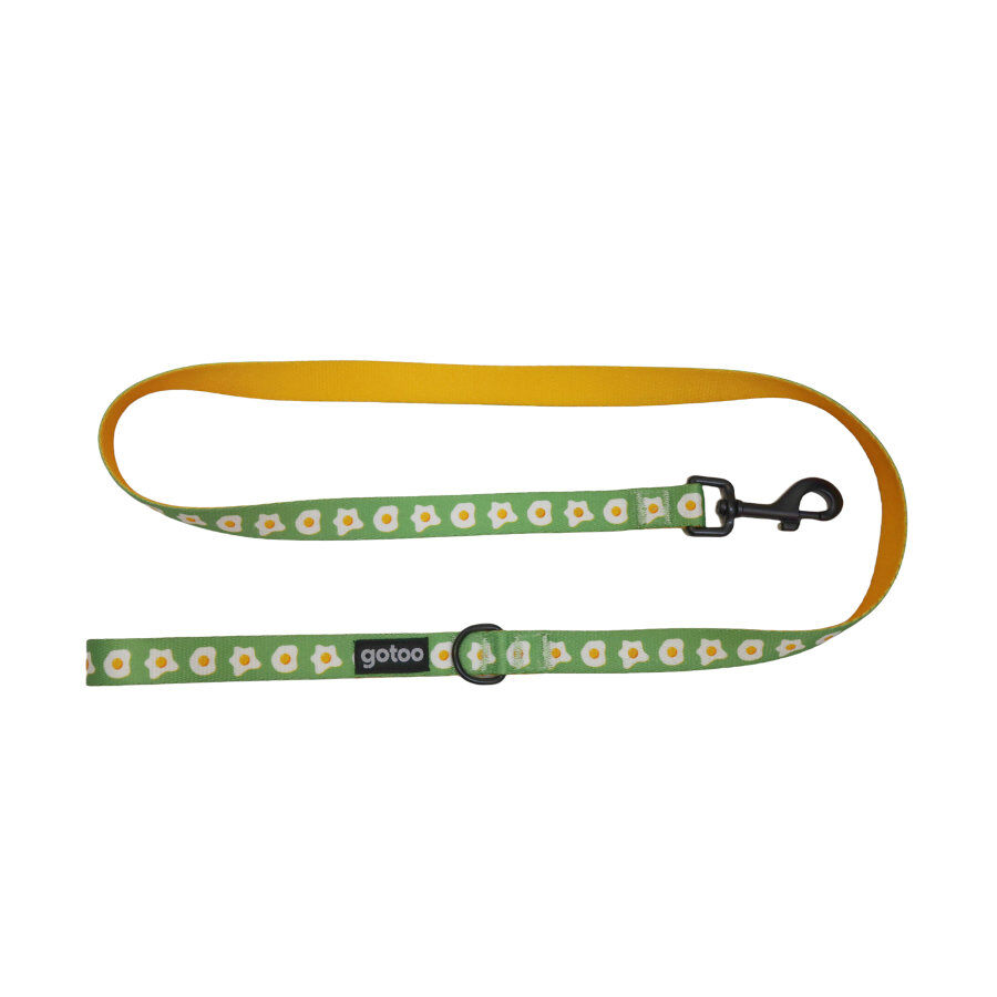 Gotoo Correa estampada verde para perro