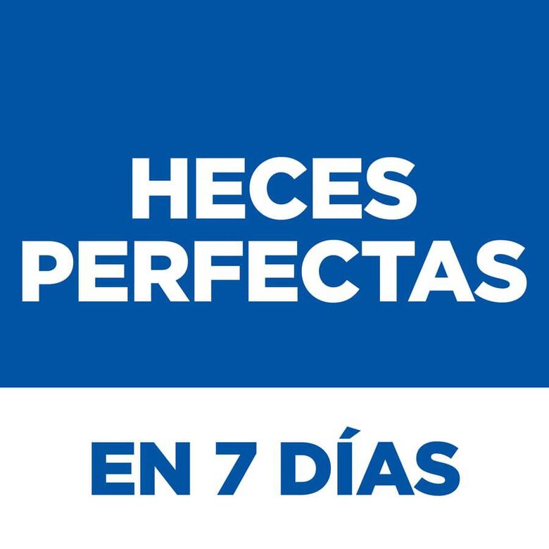 Hill&#039;s Science Plan Perfect Digestion Adult Medium Pollo pienso para perros thumbnail