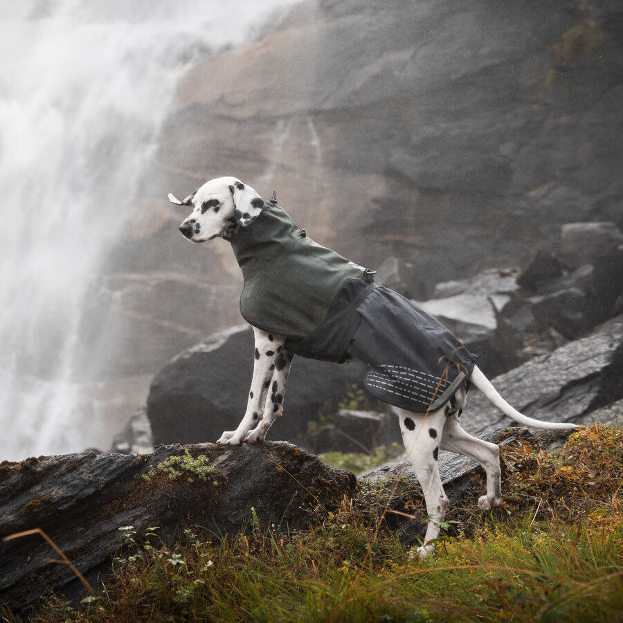 Non-stop dogwear Fjord Chubasquero Impermeable Negro y Verde para perros thumbnail