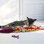 Kong Kickeroo Kanga señuelo para gatos, , large indicador imagen numero 2