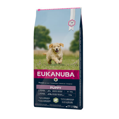 Eukanuba Puppy Large Cordero y Arroz pienso para cachorros