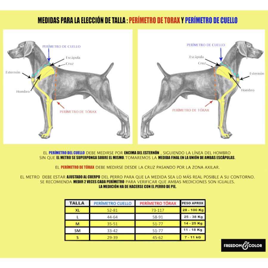 Freedom and Color Arn&eacute;s Anti-tirones Azul para perros, , large Imagen numero 4