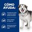 12 kg Hill's Prescription Diet Urinary + Metabolic c/d pienso para perros, , large indicador imagen numero 4
