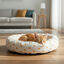 Leeby Cama Donut Sol para gatos, , large indicador imagen numero 1