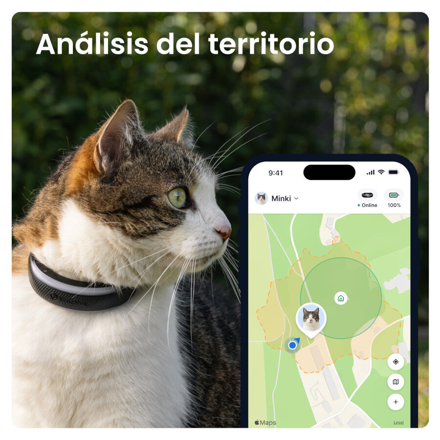 Tractive Cat 6 Mini Negro GPS para gatos, , large Imagen numero 4