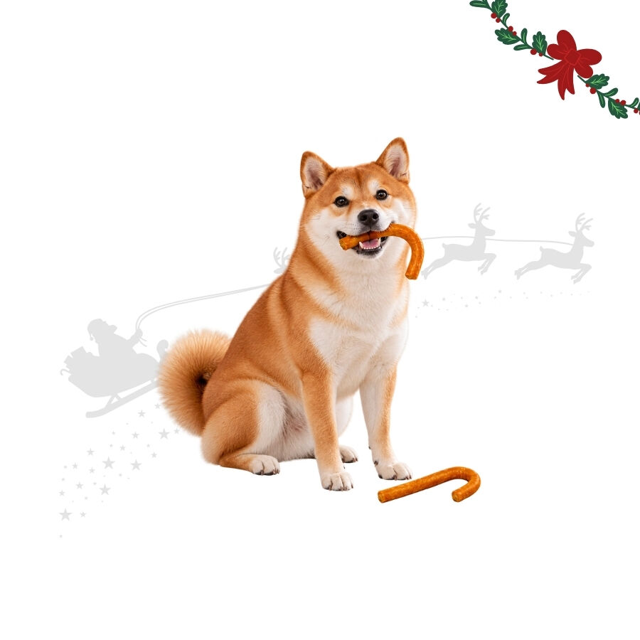 1 pack x 2 uds. Wonder Christmas D&uacute;o Bastones Navidad Snacks para perros, , large Imagen numero 1