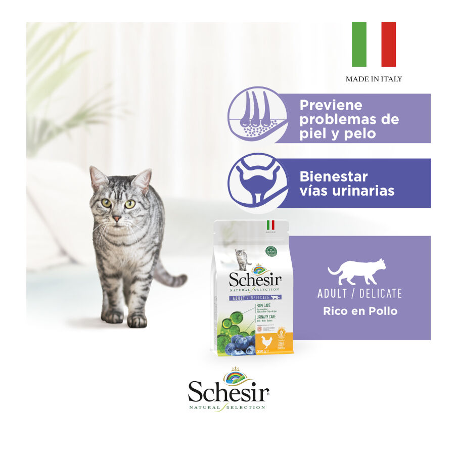 1.4 kg Schesir Adult Natural Selection Pollo pienso para gatos, , large Imagen numero 6