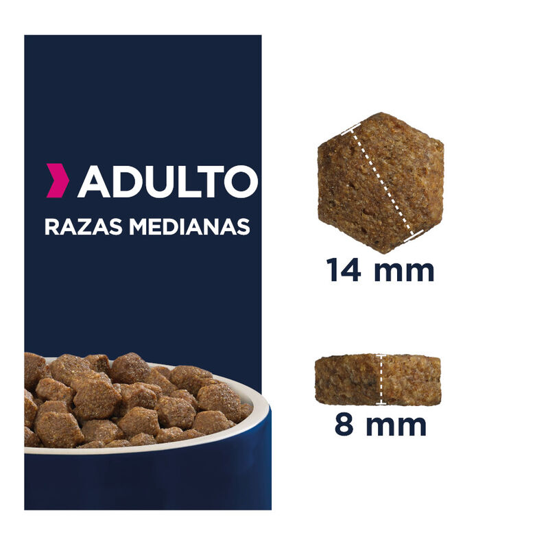 Eukanuba Adult Medium Pollo pienso para perros thumbnail