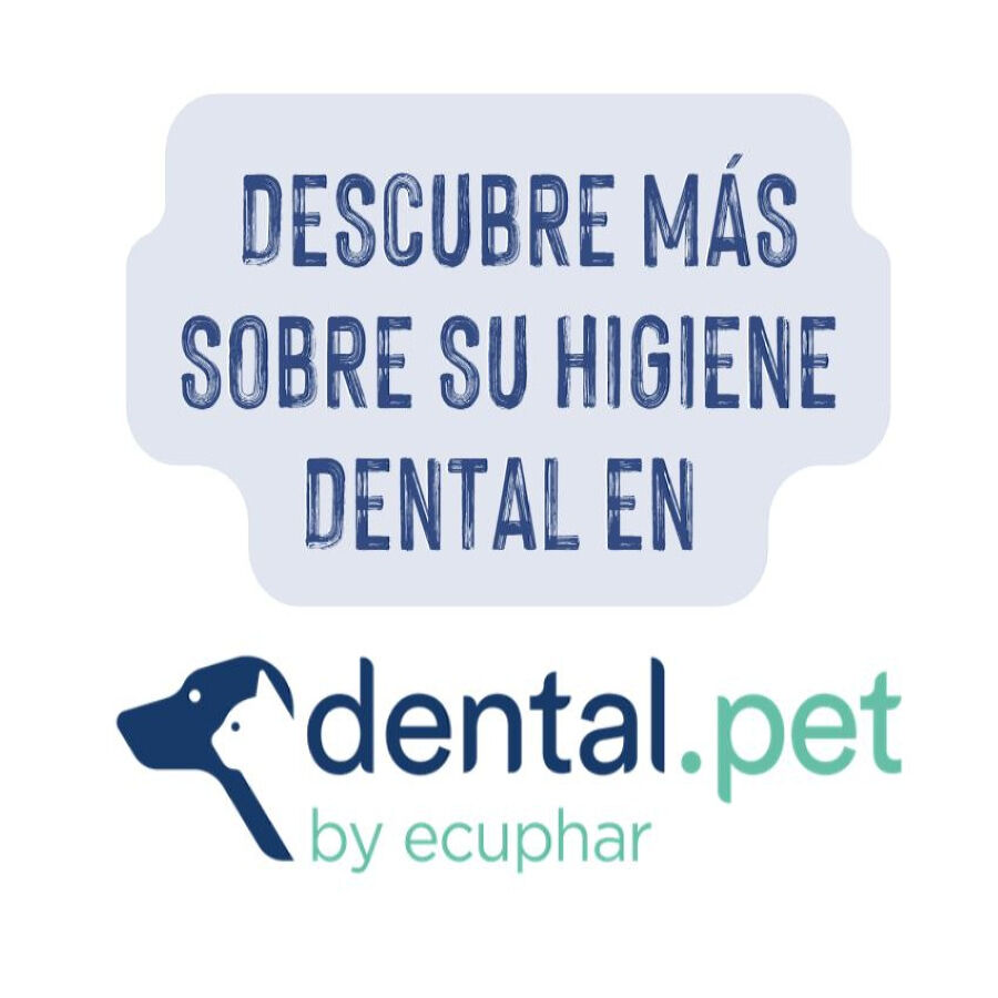 Ecuphar Plaqtiv+ Toallitas Dentales para perros y gatos thumbnail