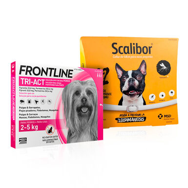 Scalibor Collar Antiparasitario 48 cm + Frontline Tri-Act pipetas para perros pequeños 