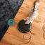 Cecotec Pumba 1600 Purrfect Meal Comedero Dispensador para perros y gatos, , large indicador imagen numero 4