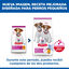 6 kg Hill's Science Plan Puppy Small y Mini Pollo Pienso para cachorros, , large indicador imagen numero 3