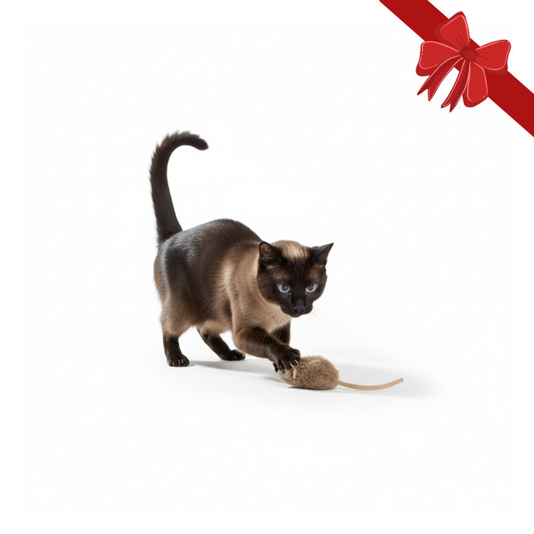 Wonder Christmas Juguete Ratón Navideño para gatos,  Imagen numero 1 Wonder Christmas Juguete Ratón Navideño para gatos, , large Imagen numero 1