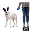 Gotoo Correa extensible azul para perros, , large indicador imagen numero 3