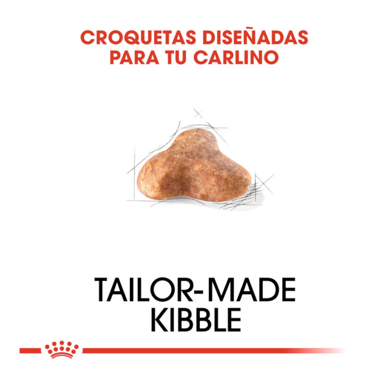 3 kg Royal Canin Adult Pug pienso para perros,  Imagen numero 5 3 kg Royal Canin Adult Pug pienso para perros, , large Imagen numero 5