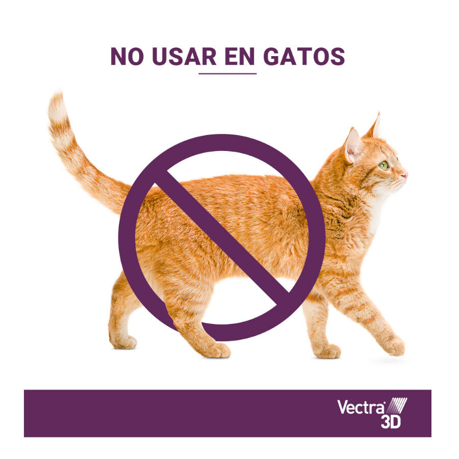 Vectra 3D Pipetas Antiparasitarias para perros thumbnail