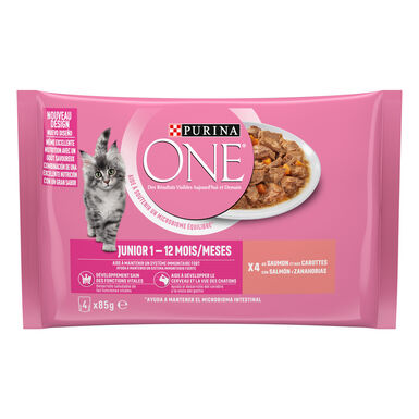 Purina One Junior Salmón sobre en salsa para gatos