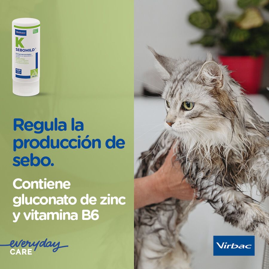 Virbac Sebomild Champú para pieles grasas en perros y gatos thumbnail