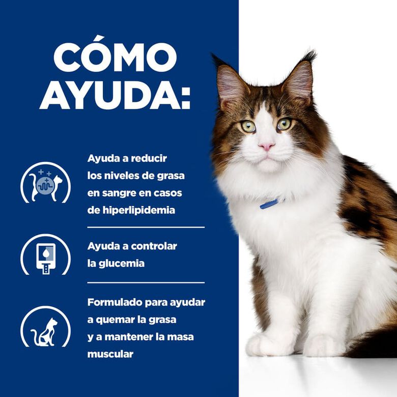 Hill&#039;s Prescription Diet Multi-Benefit Pollo pienso para gatos thumbnail