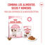 85 g Royal Canin Kitten sobre en salsa para gatos, , large indicador imagen numero 5