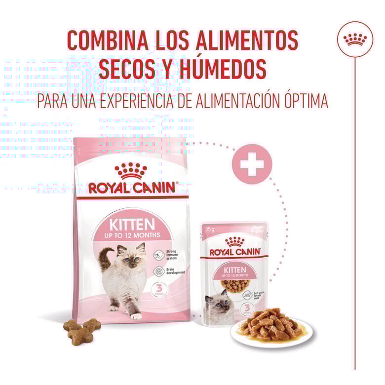 85 g Royal Canin Kitten sobre en salsa para gatos,  Imagen numero 5 85 g Royal Canin Kitten sobre en salsa para gatos, , large Imagen numero 5