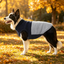 Gotoo Chaqueta Azul y Gris para perros, , large indicador imagen numero 1
