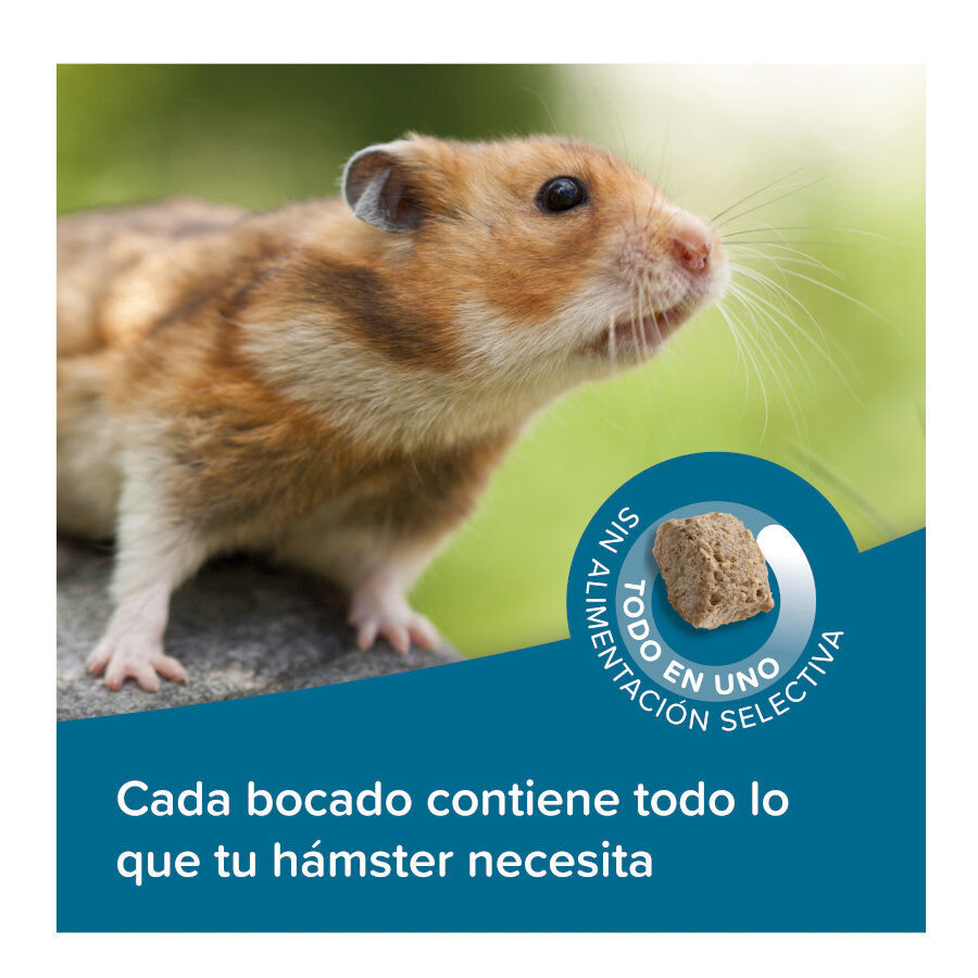 500 g Beaphar Care+ Pienso para h&aacute;msteres, , large Imagen numero 4