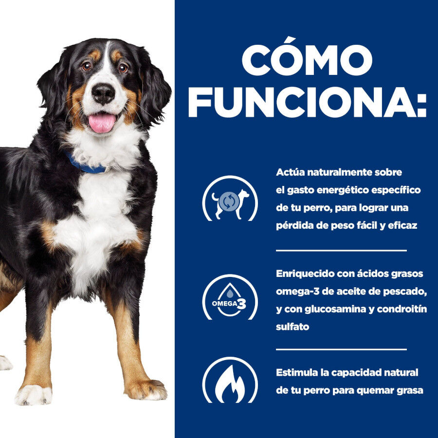 12 kg Hill's Prescription Diet j/d Metabolic + Mobility pienso para perros, , large Imagen numero 5