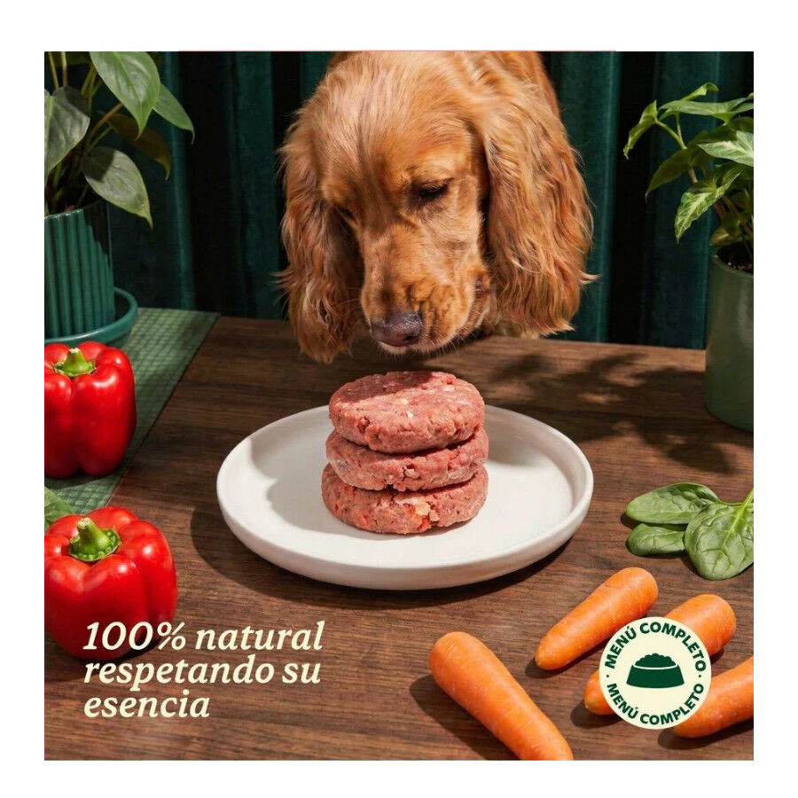 1 kg Wild Balance Barf Men&uacute; salm&oacute;n con verduras comida congelada para perros, , large Imagen numero 3