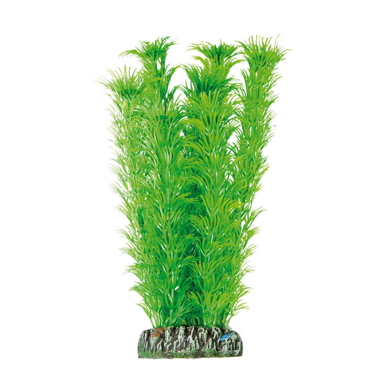ICA Aquatic Plants Ambulia planta artificial para acuarios,  Imagen numero 1 ICA Aquatic Plants Ambulia planta artificial para acuarios, , large Imagen numero 1
