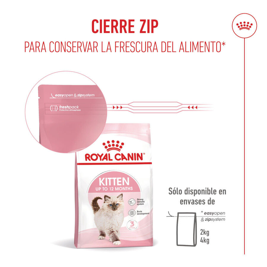 Royal Canin Kitten pienso para gatos thumbnail