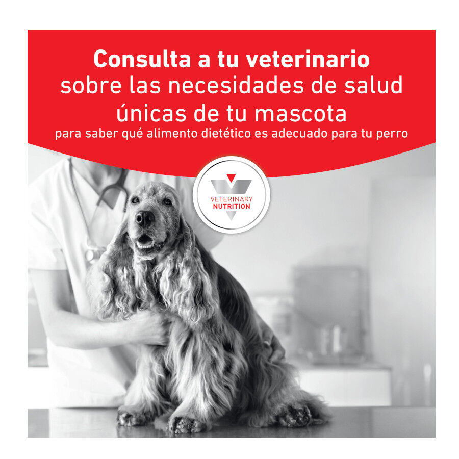 400 g Royal Canin Veterinary Diet Gastrointestinal lata para perros  , , large Imagen numero 3