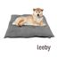 Leeby Cojín Acolchado de Terciopelo Gris para perros, , large indicador imagen numero 2