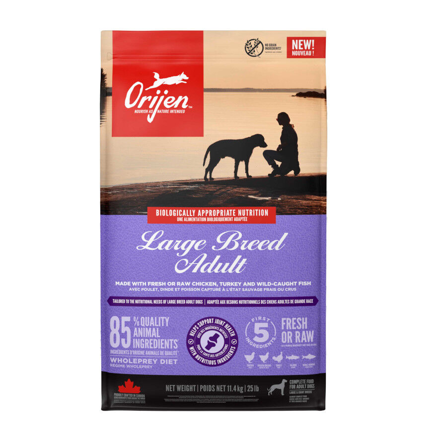 Orijen Large Breed Adult Pienso para perros