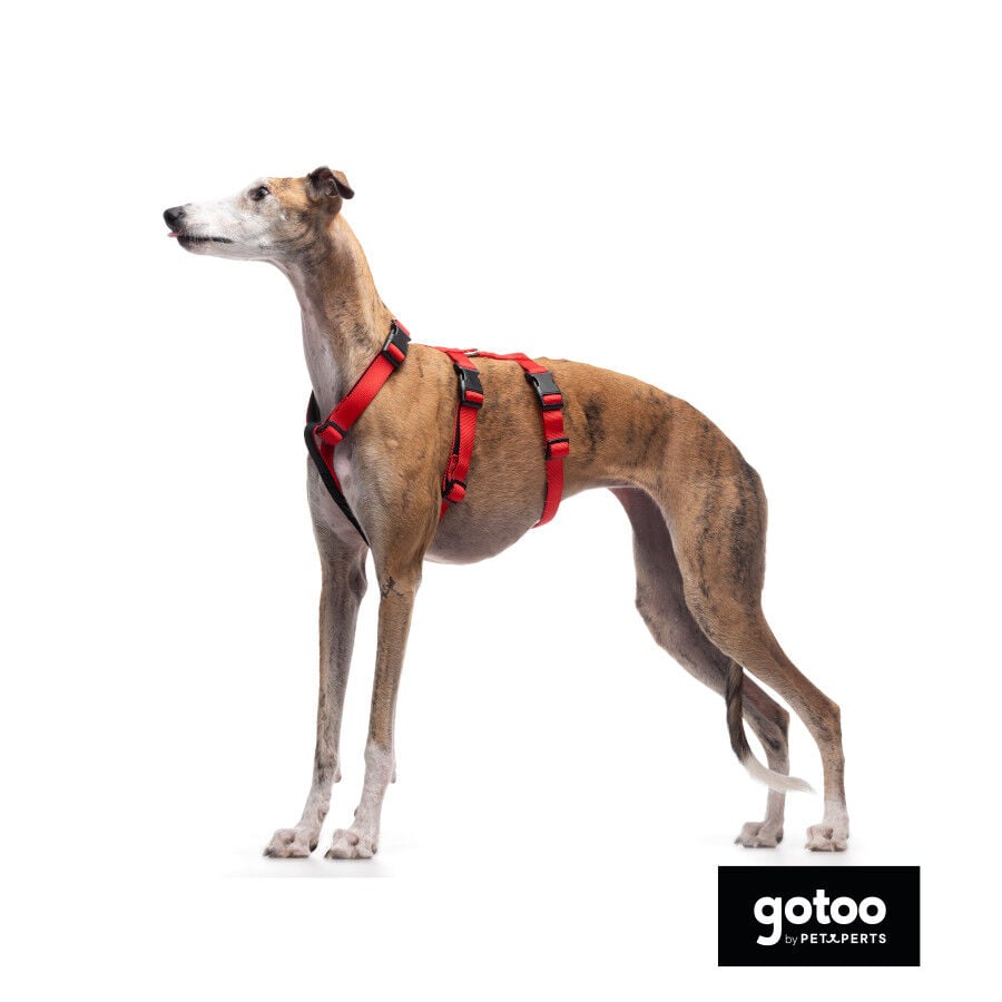 Gotoo Arn&eacute;s antiescape rojo para perros, , large Imagen numero 5