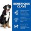 18 kg (15 + 3 kg ¡gratis!) Hill's Science Plan Adult Large Pollo pienso para perros, , large indicador imagen numero 4