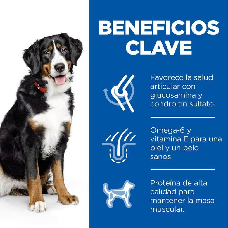Hill&#039;s Science Plan Adult Large Pollo pienso para perros thumbnail