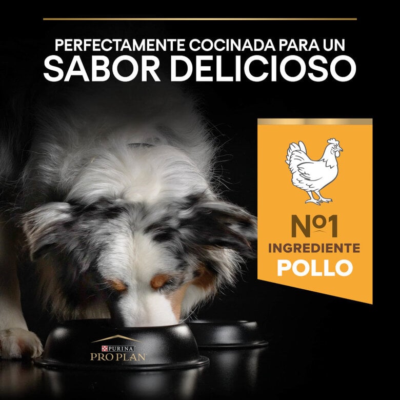 14 kg Pro Plan Adult Medium y Large Pollo pienso para perros Sénior +7,  Imagen numero 7 14 kg Pro Plan Adult Medium y Large Pollo pienso para perros Sénior +7, , large Imagen numero 7