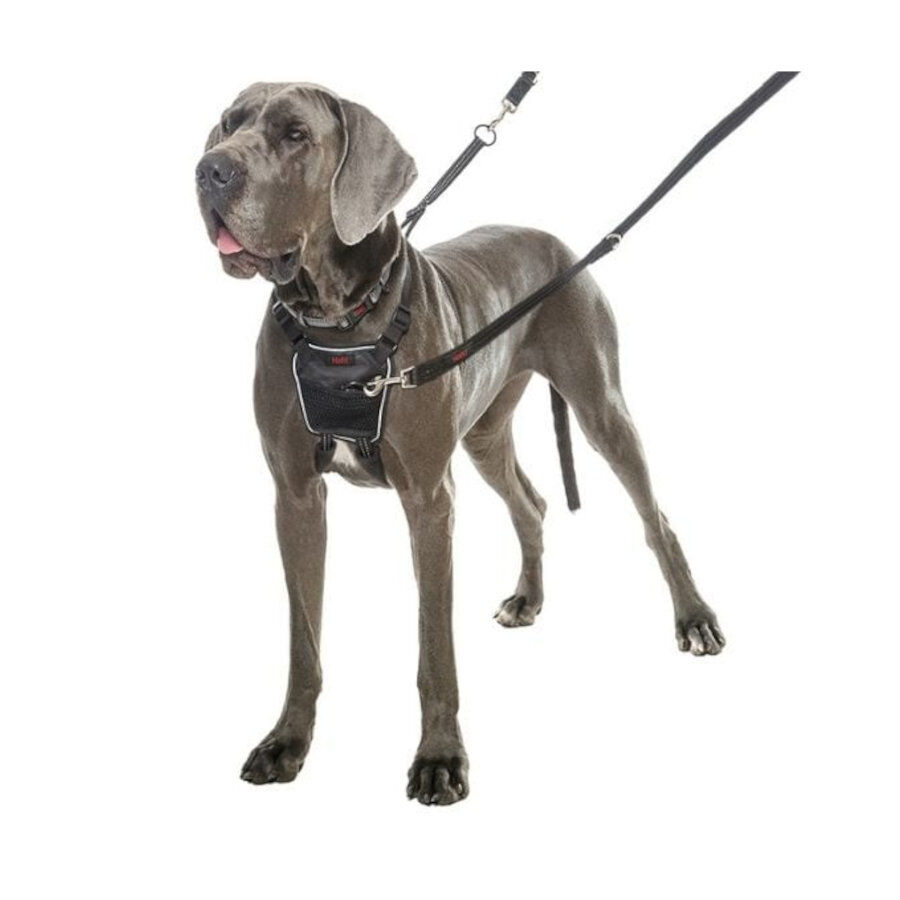 Halti Arnés antitirones negro para perros thumbnail