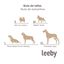 Leeby Cuna Antiestrés Desenfundable Gris para perros, , large indicador imagen numero 8