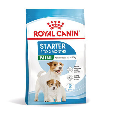 Royal Canin Starter MotheryBaby Mini pienso para perros