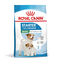 8 kg Royal Canin Starter MotheryBaby Mini pienso para perros, , large indicador imagen numero 2