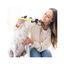 Petosan Kit Dental Pequeño para perros y gatos, , large indicador imagen numero 4