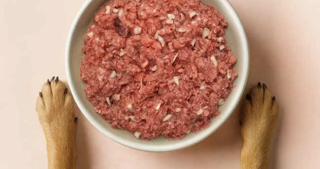 Comida natural cocinada y congelada con ingredientes frescos