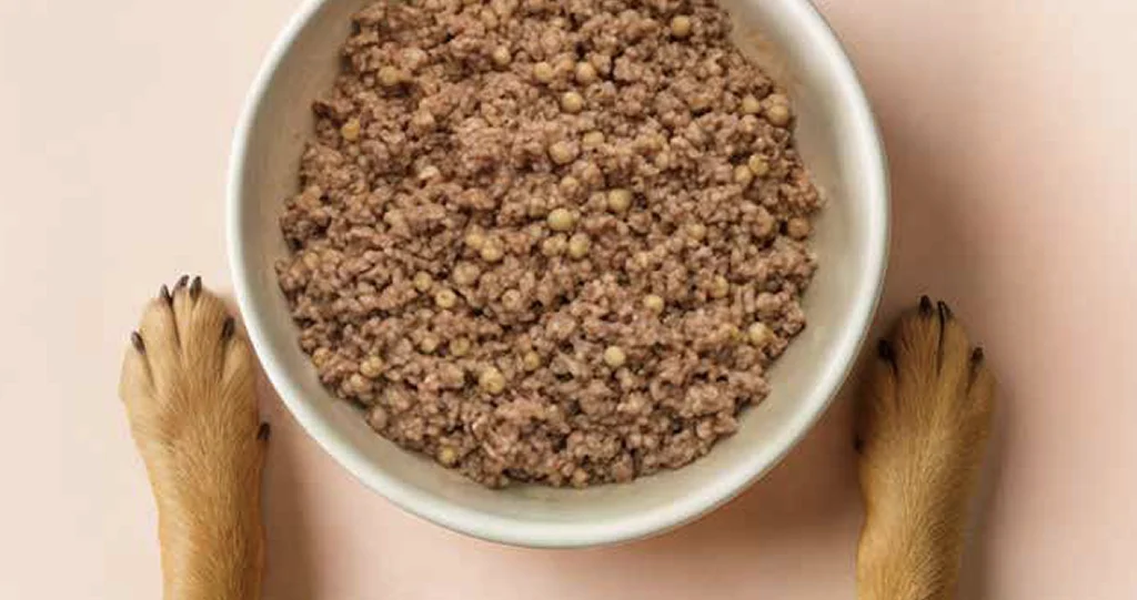 Comida natural BARF congelada en crudo