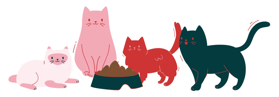 Gato con comida natural congelada