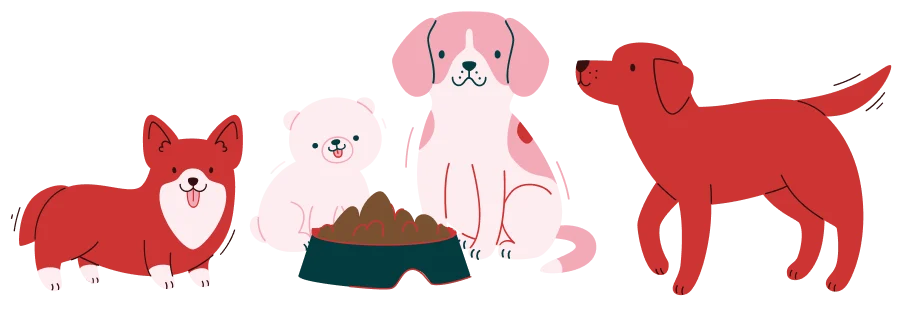 Perro con comida natural congelada