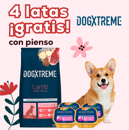 Dogxtreme: 4 latas de tarrinas de húmedo con selección de pienso 12 kg