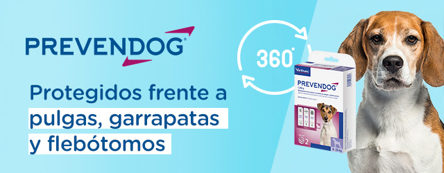 Prevendog: Protegidos frente a pulgas, garrapatas y flebótomos